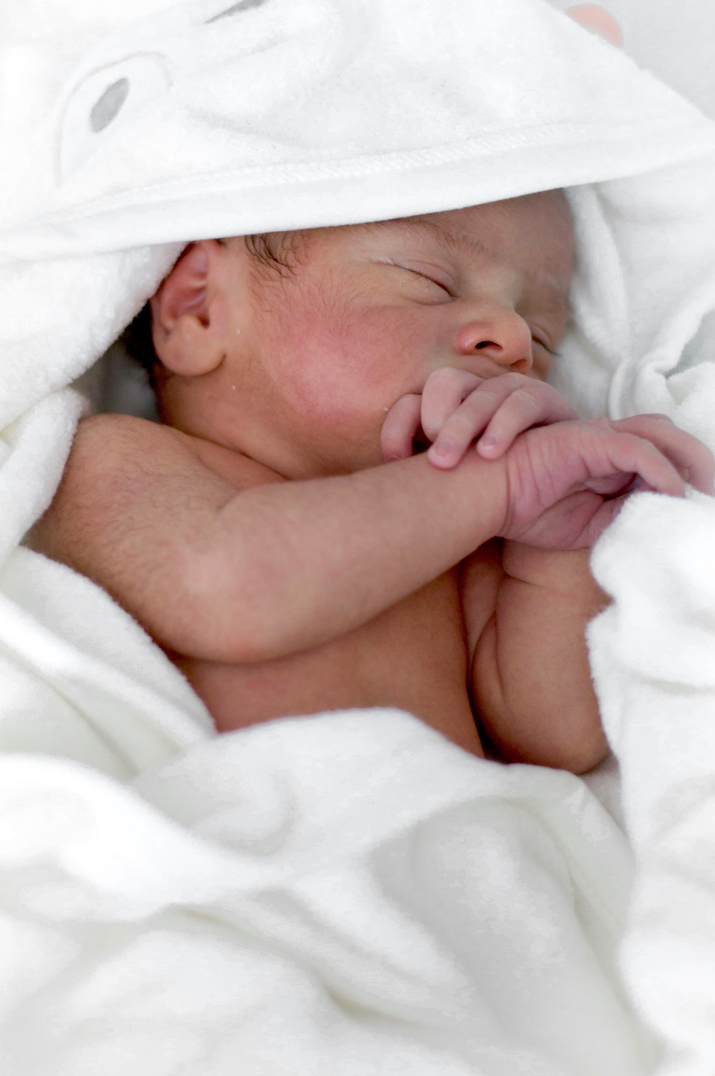 Fertility & Pregnancy